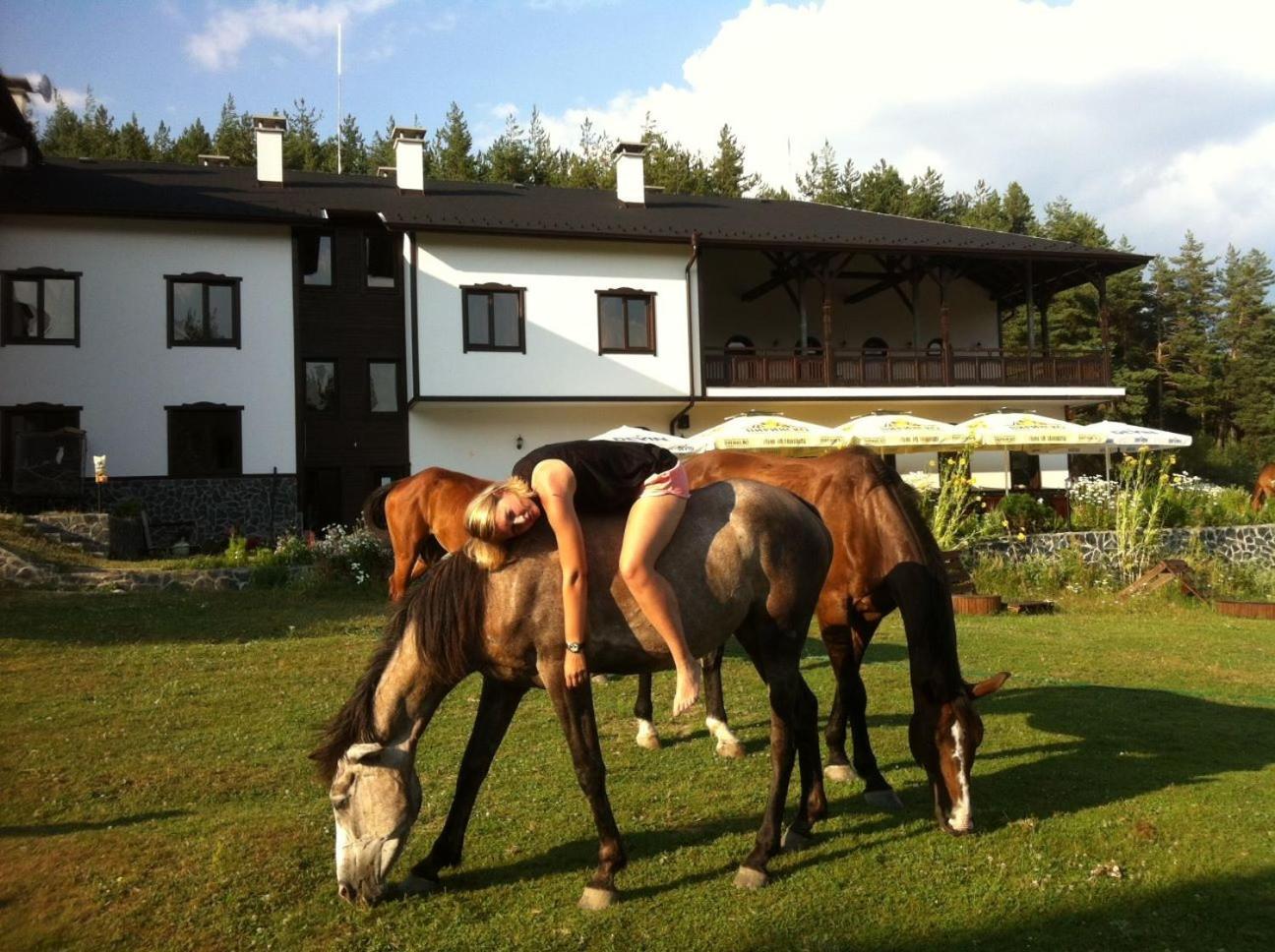 Rusaliite Adventure House Bachevo  Exterior foto