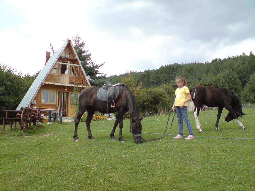 Rusaliite Adventure House Bachevo  Exterior foto